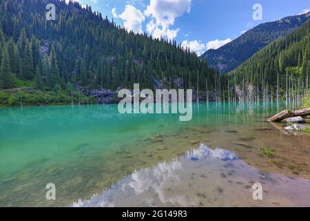 Kaindy Lake in Kazakhstan known also as Birch Tree Lake or Underwater forest, with tree trunks coming out of the water. Stock Photo