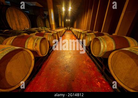 Wine barrels in the cellar in Gjakova, Kosovo Stock Photo