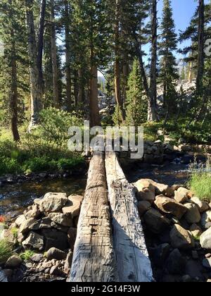 log foot bridge along the trail in the mountains Stock Photo