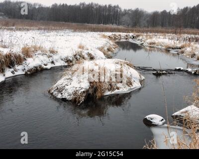 Muskrat Family Lodge in a Creek: Snow covered muskrat lodge in the midst of a creek on a cold winter day Stock Photo