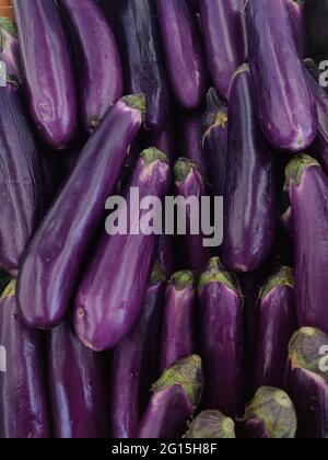 Eggplant is a plant species in the nightshade family Solanaceae. Solanum melongena is grown worldwide for its edible fruit. Stock Photo
