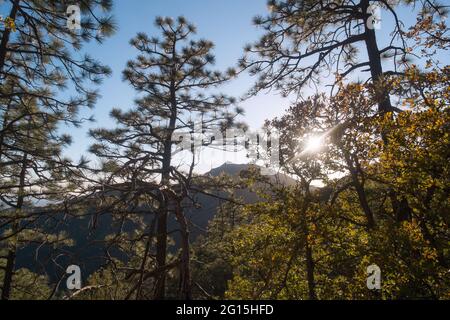 View of MIT's Fred Whipple Observatory on top of Mount Hopkins, near Tucson, Arizona, USA Stock Photo