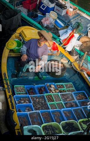 A local fisherwoman sells her catch directly from her boat at the waterfront, Sai Kung, New Territories, Hong Kong Stock Photo