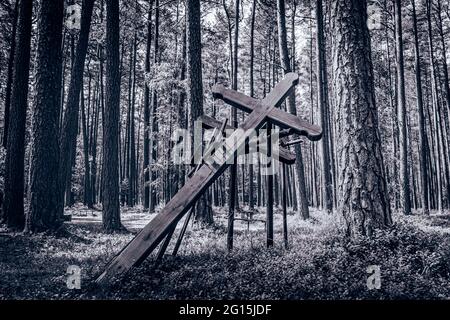 Wooden cross as a memorial and monument in the Polish forest. Memorial and memorial for the victims of the Nazis in World War II. Stock Photo