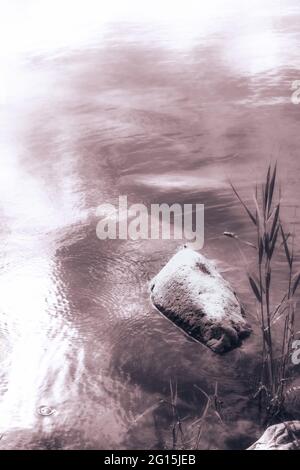 Large rock stones lie underwater in a clear, transparent lake. Green stone in the lake under water overgrown with moss. Stock Photo