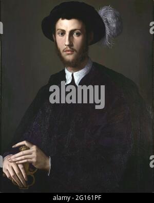 Agnolo Bronzino -  Portrait of a Young Man Stock Photo
