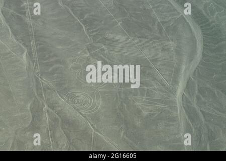 Aerial View of The Monkey Geoglyph at the Nazca Lines in Peru Stock Photo