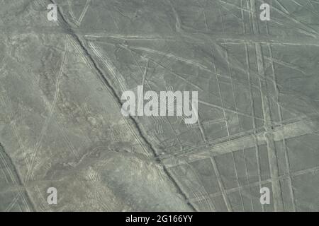 Aerial View of The Spider Geoglyph at the Nazca Lines in Peru Stock Photo