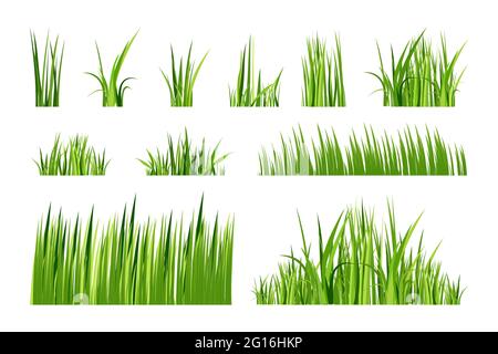 Set of different fresh spring green grass in flat style. Isolated on white background. Vector illustration. Stock Vector