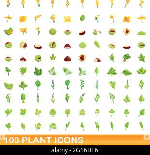 100 flora icons set, cartoon style Stock Vector Image & Art - Alamy