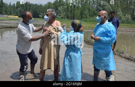Kashmir, India. 5th June 2021. A health worker inoculates the dose of the COVID19 vaccine to a farmer at a special drive to vaccinate farmers. Credit: Majority World CIC/Alamy Live News Stock Photo