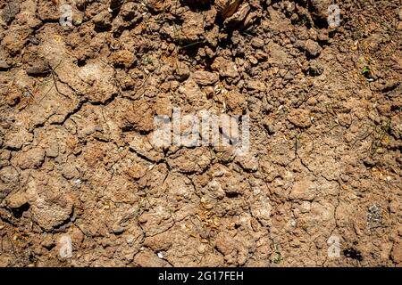 Abstract ground texture with clumps. Soil background. Stock Photo