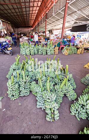 Bunches of bananas for sale in market, Pakse, Laos Stock Photo