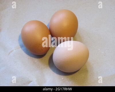 three chicken eggs lying side by side Stock Photo