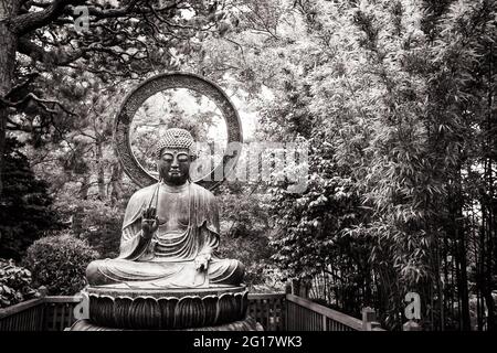 The Buddha Statue in Japanese Tea Garden, San Francisco Stock Photo