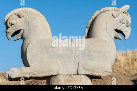 Griffin-like Huma bird capital statuary, from about 500 BC in  Persepolis, Fars Province, Iran Stock Photo