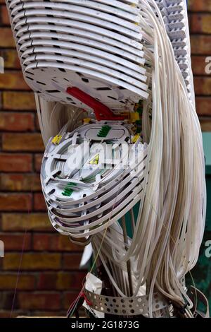 Fibre optic junction box with data cables for broadband, TV, telephone Stock Photo