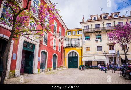 Typical colorful houses of Alfama in Lisbon, Portugal and blooming pink bougainvillea trees. Spring time. Yellow and red buildings with green doors. Stock Photo