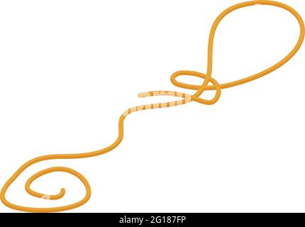 String lasso icon. Isometric of String lasso vector icon for web design isolated on white background Stock Vector