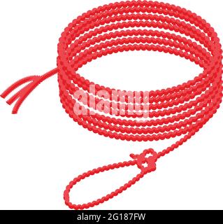 Knot lasso icon. Isometric of Knot lasso vector icon for web design isolated on white background Stock Vector