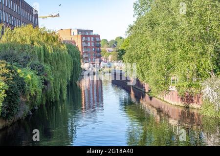 A view down the RIver Wensum in the city of  Norwich. Captured on a bright and sunny evening Stock Photo