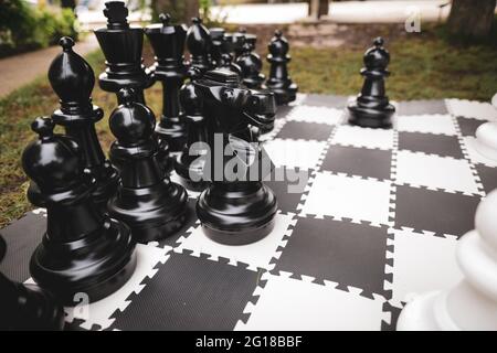 Shallow depth of field (selective focus) image with a garden chess set. Stock Photo