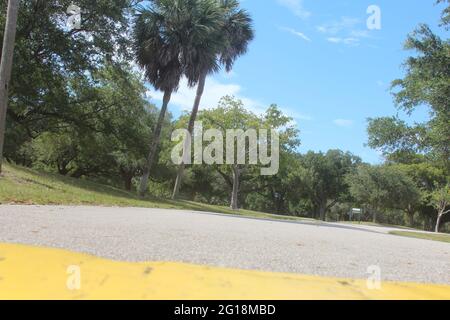 low angle paved road with yellow speedbump Stock Photo