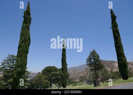 Newhall, California, USA 4th June 2021 A general view of atmosphere of Eternal Valley Memorial Park on June 4, 2021 at 23287 Sierra Hwy in Newhall, California, USA. Photo by Barry King/Alamy Stock Photo Stock Photo