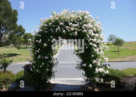 Newhall, California, USA 4th June 2021 A general view of atmosphere of Eternal Valley Memorial Park on June 4, 2021 at 23287 Sierra Hwy in Newhall, California, USA. Photo by Barry King/Alamy Stock Photo Stock Photo