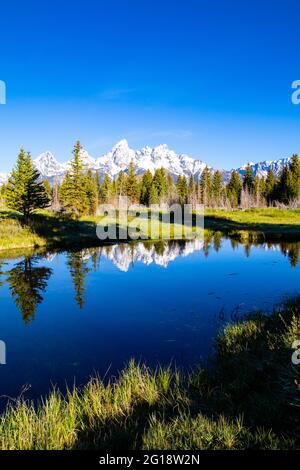 Schwabacher Landing in the early morning in Grand Teton National Park, Wyoming, with mountain reflections on the Snake River, vertical Stock Photo