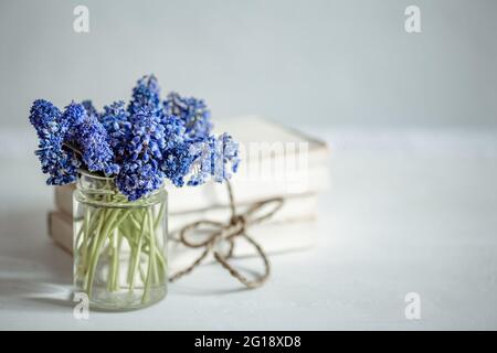 Spring composition with muscari flowers in a glass vase on a blurred background. Stock Photo