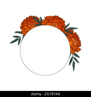 Round frame with colored sketch of marigolds with leaves and copy space. Invitation cards with flowerhead. Vector natural template for postcards. Flor Stock Vector