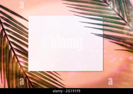 Minimal summer concept with palm tree leaf. Creative copyspace with paper frame. Creative layout made of colorful tropical leaves on white background. Stock Photo