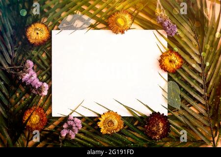 Minimal summer concept with palm tree leaf. Creative copyspace with paper frame. Creative layout made of colorful tropical leaves on white background. Stock Photo