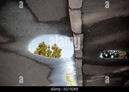 Inverted view of a wet asphalt road with a tree reflection in a puddle Stock Photo