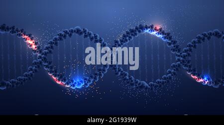 human genetic DNA helical molecule structure clinic medical treatment research and testing concept Stock Vector