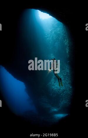 Scuba Diver in Blue Hole Cave, Micronesia, Palau Stock Photo