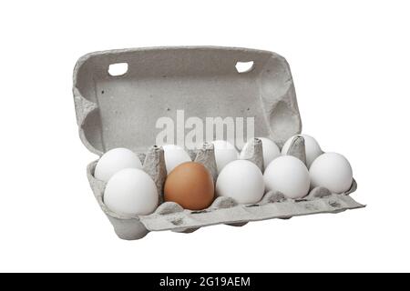 Several White and one brown eggs in a basket. Rural scene. Easter background - fresh chicken eggs. Concept is not like everyone else. Stock Photo