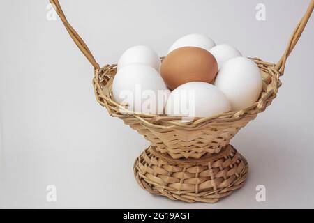 Several White and one brown eggs in a basket. Rural scene. Easter background - fresh chicken eggs. Concept is not like everyone else. Stock Photo
