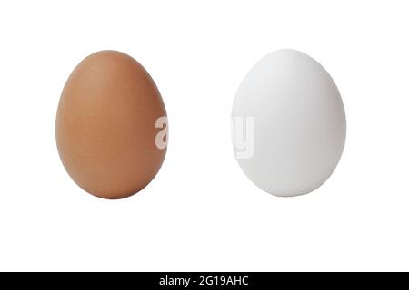 Fresh rural eggs. Two eggs on white isolated background. Stock Photo