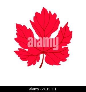 Maple leaf silhouette with veins. autumn symbol isolated on white. Vector illustration. Stock Vector