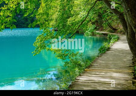 Amazing tourist wooden trail in a picturesque deep forest with clear lakes, Plitvice National Park, Croatia, Europe Stock Photo