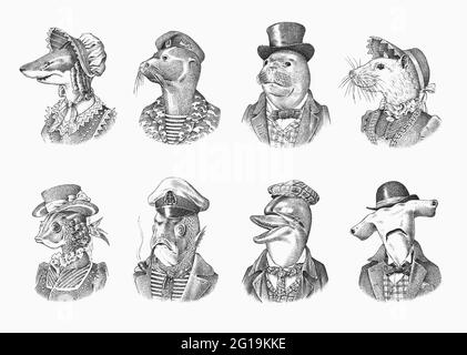 Dolphin and Great hammerhead shark. Fur seal man in military uniform. White Mouse Woman. Marine mammal gentleman. Fashion animal character. Hand drawn Stock Vector