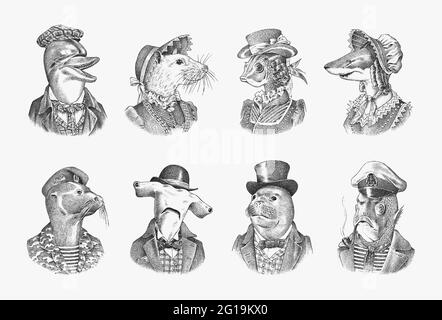 Dolphin and Great hammerhead shark. Fur seal man in military uniform. White Mouse Woman. Marine mammal gentleman. Fashion animal character. Hand drawn Stock Vector
