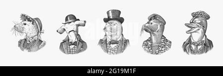 Dolphin and Great hammerhead shark. Fur seal man in military uniform. White Mouse Woman. Marine mammal gentleman. Fashion animal character. Hand drawn Stock Vector