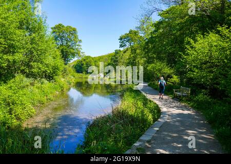 Female walking by Shepherd Wheel millpond, western Sheffield, South Yorkshire, North of England, UK Stock Photo