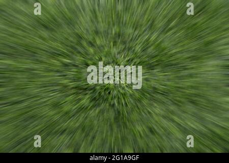 Green color background, zoom effect of plastic artificial grass on the schoolyard Stock Photo