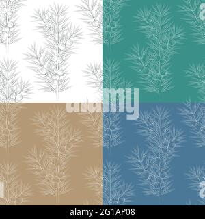 Set of seamless patterns with juniper branches. Vector backgrounds. Stock Vector