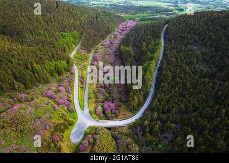 Tri spear shaped roads near the Vee Pass, a v-shaped turn on the road leading to a gap in the Knockmealdown mountains in Clogheen county Tipperary, Ir Stock Photo