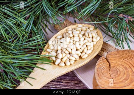 Fresh peeled pine nuts in the spoon with green coniferous branches on light wooden background. Stock Photo